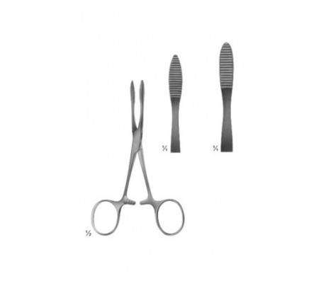 Forceps